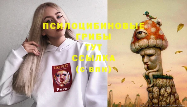 марки nbome Белокуриха